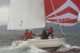pandanova k1092t whw12 wed gjmc 2538